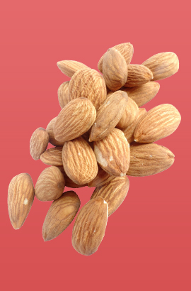 صفحه اصلی 61 11