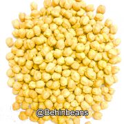 صفحه اصلی 20 نخود