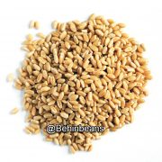 صفحه اصلی 21 گندم پوست کنده(حلیمی)