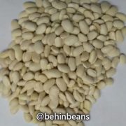 صفحه اصلی 20 لوبیا سفید