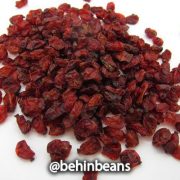 صفحه اصلی 16 زرشک