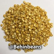 صفحه اصلی 19 لپه دستچین ایرانی