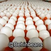 صفحه اصلی 13 تخم مرغ کارتنی (۱۸۰ عددی )