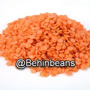 صفحه اصلی 14 دال عدس