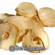 صفحه اصلی 14 موسیر