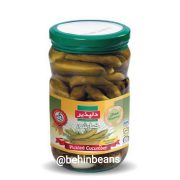 صفحه اصلی 14 خیارشور ممتاز دلپذیر ۶۵۰ گرمی