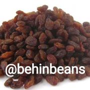 صفحه اصلی 16 کشمش پلویی