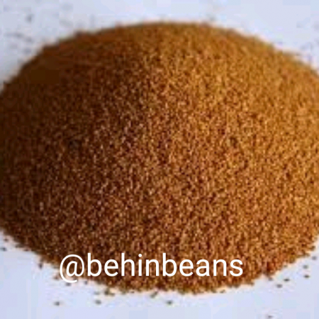 صفحه اصلی 24 خاکشیر