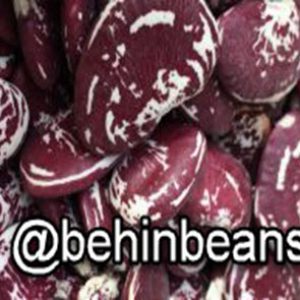 صفحه اصلی 47 لوبیا عروس