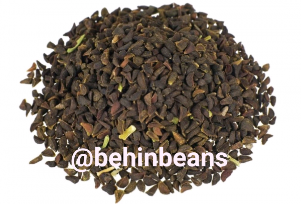 quote 1545733073444 1