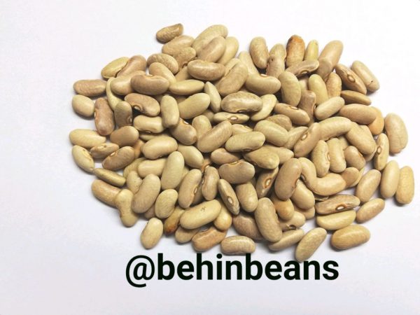 IMG_20190508_130154_186 IMG 20190508 130154 186