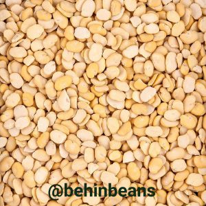 صفحه اصلی 43 لپه باقالی