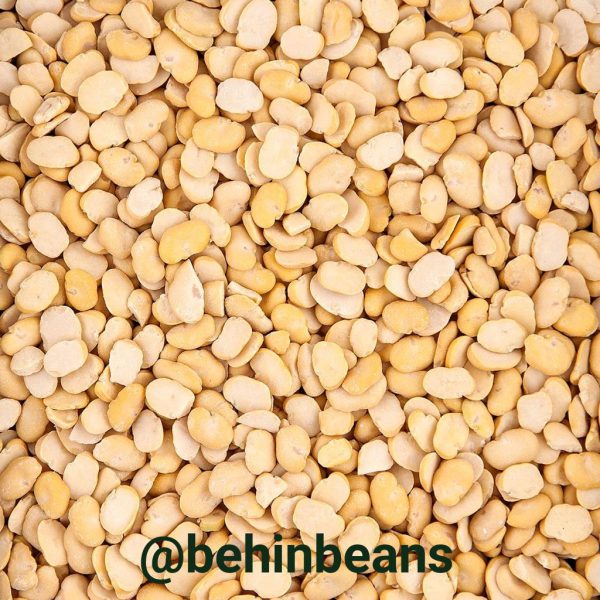 WhatsApp Image 2019 07 08 at 11.05.41 AM