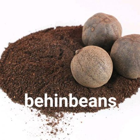 صفحه اصلی 22 گرد لیمو