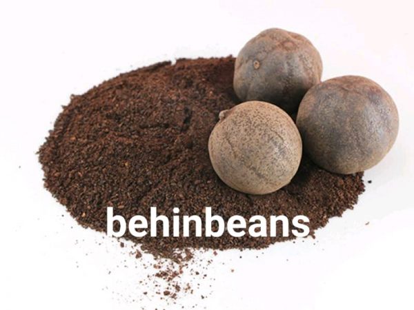 WhatsApp Image 2020-04-22 at 2.27.42 PM(10) WhatsApp Image 2020 04 22 at 2.27.42 PM10