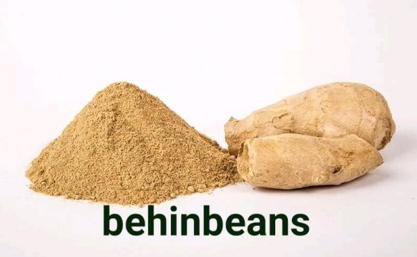 WhatsApp Image 2020 04 22 at 2.27.43 PM2